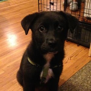 Meet your Posher, Amy